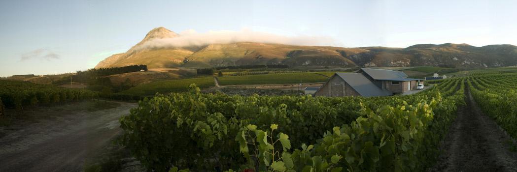 creationsomm's profile banner image