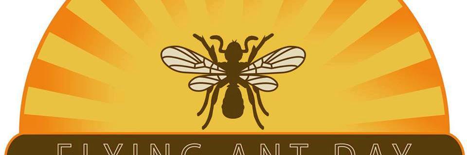 Flying Ant Day banner