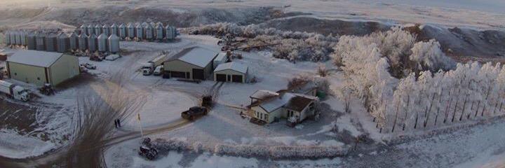 Dennis Erickson banner