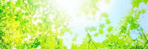ReTryangle's profile banner image