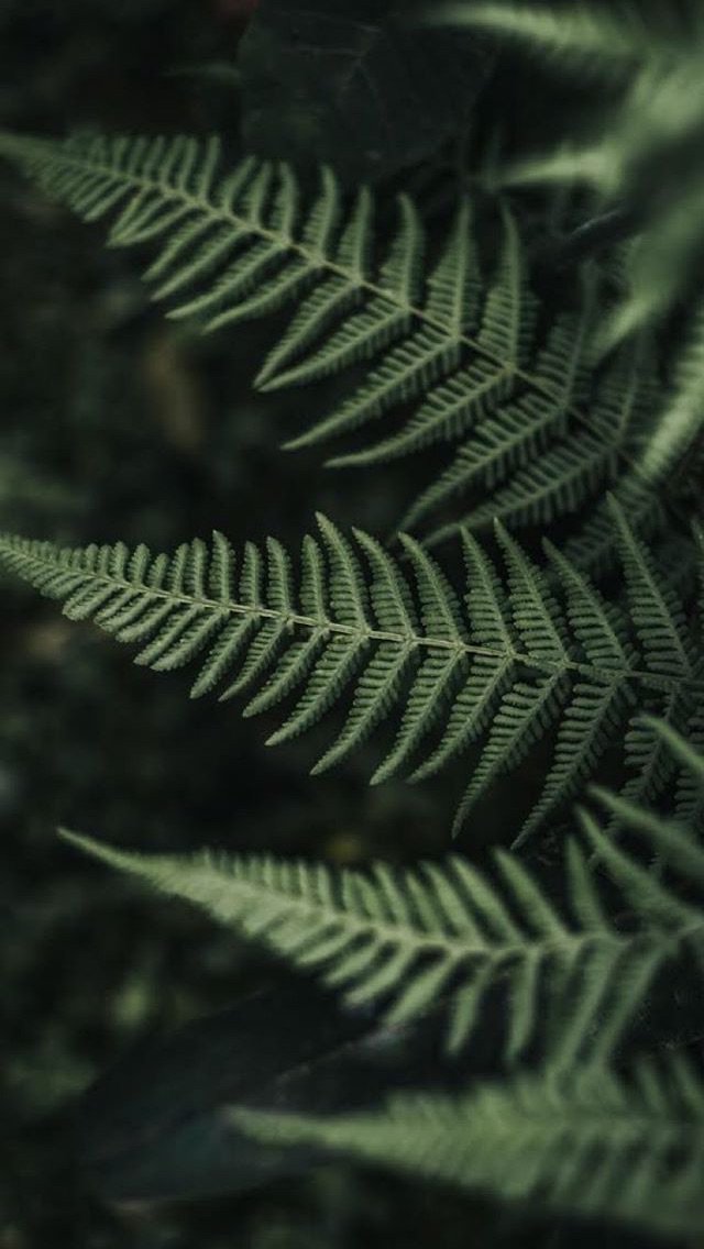 Luchytz's profile banner image