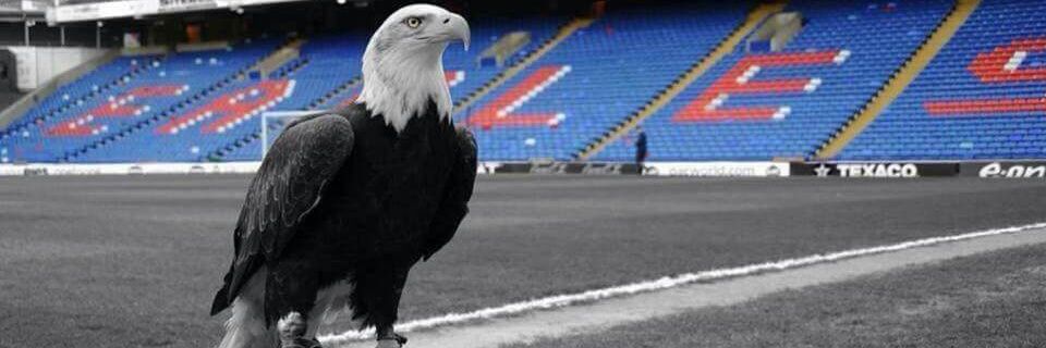 The Smitmeister banner