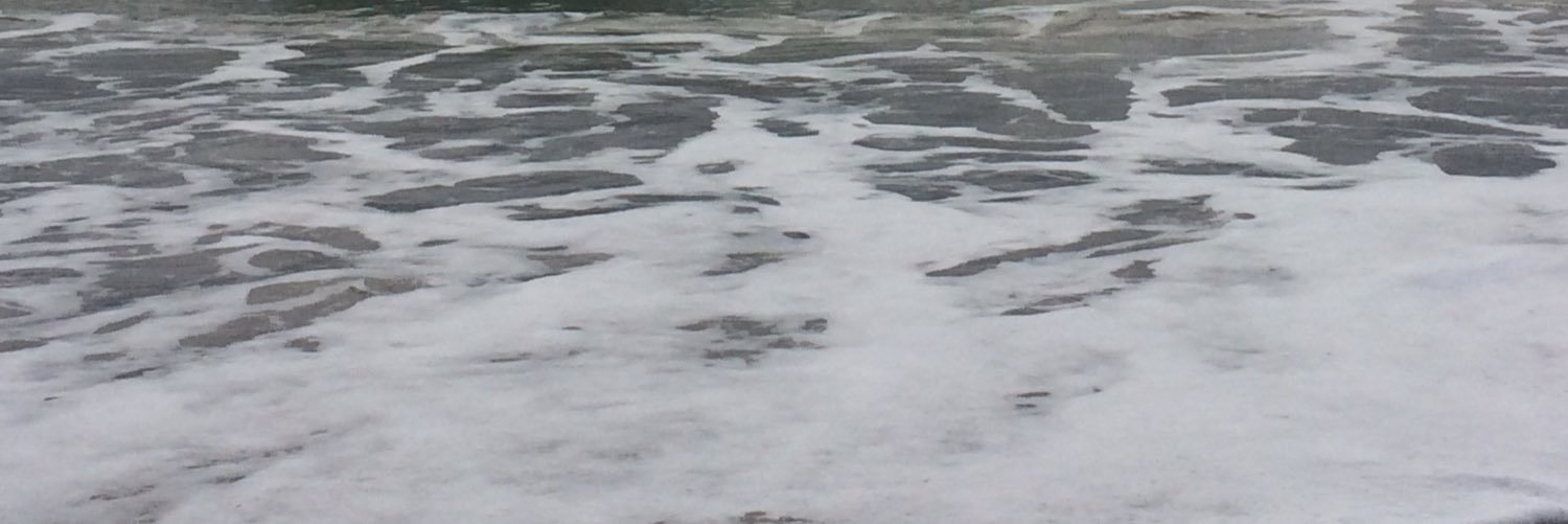 blaurdenny's profile banner image