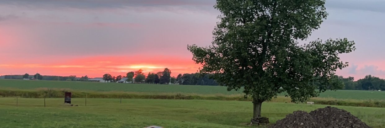 jadejackson159's profile banner image