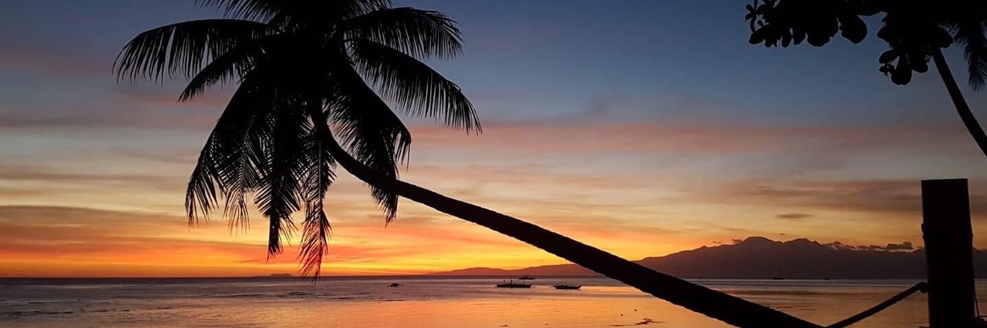 FedeAramayo_'s profile banner image