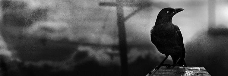 tkfr88's profile banner image
