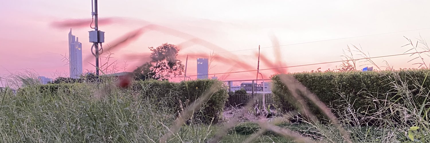 ccrisvineyard's profile banner image
