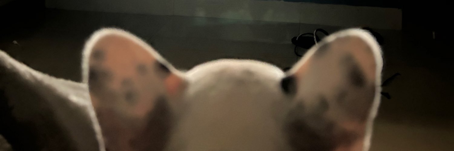 GLepoli's profile banner image