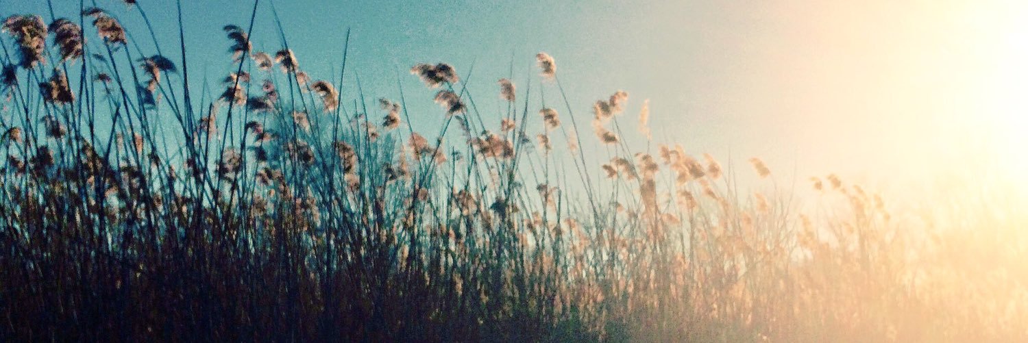 JenMathy's profile banner image