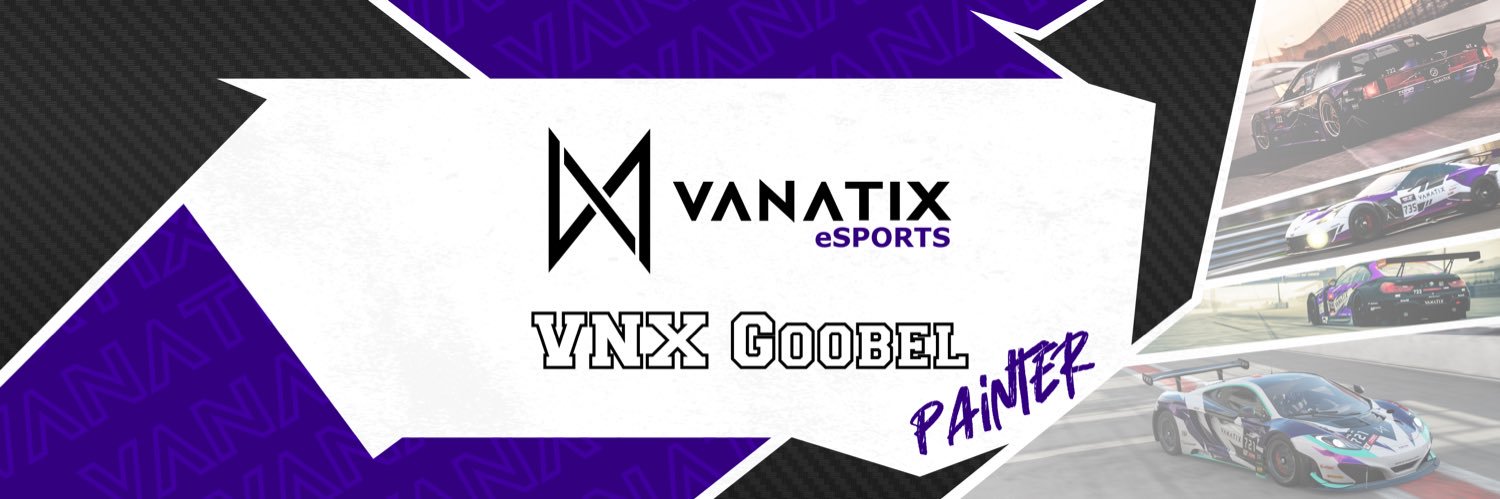 VNX Goobel banner