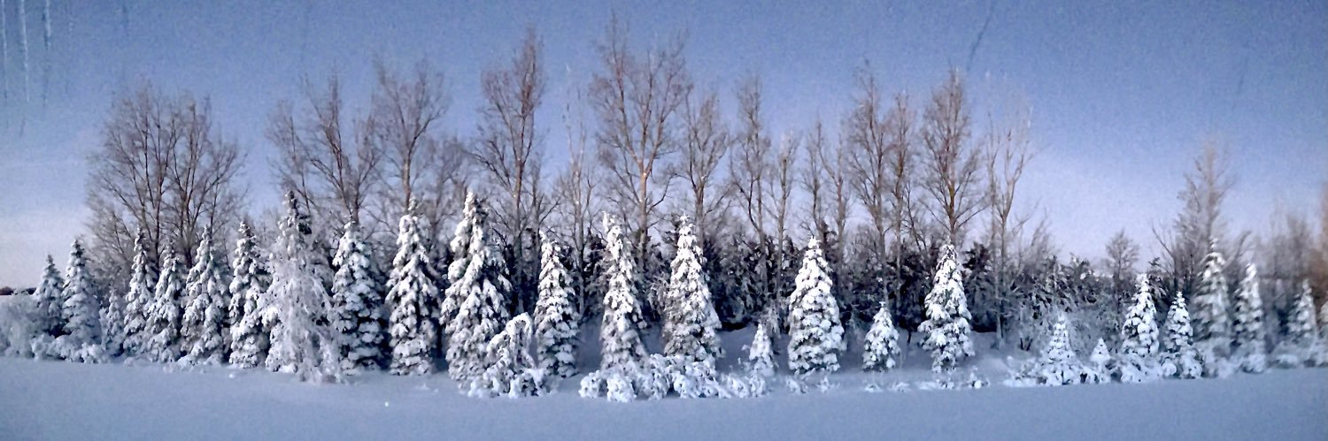 amccarlson's profile banner image
