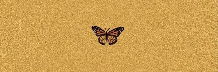 Erinmartin02's profile banner image