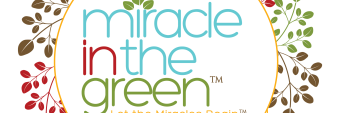 miracle_ingreen's profile banner image