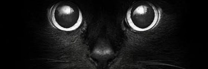 _bitter_____'s profile banner image