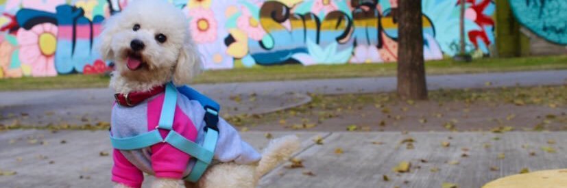 katyaugier's profile banner image