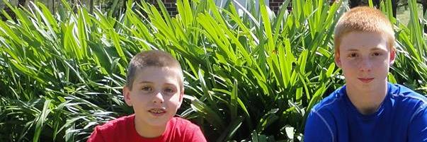 Jess Sain banner