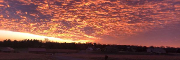 SydRushing4 Profile Banner