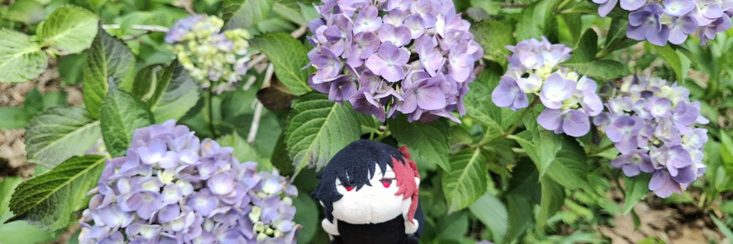 moimoiataru's profile banner image