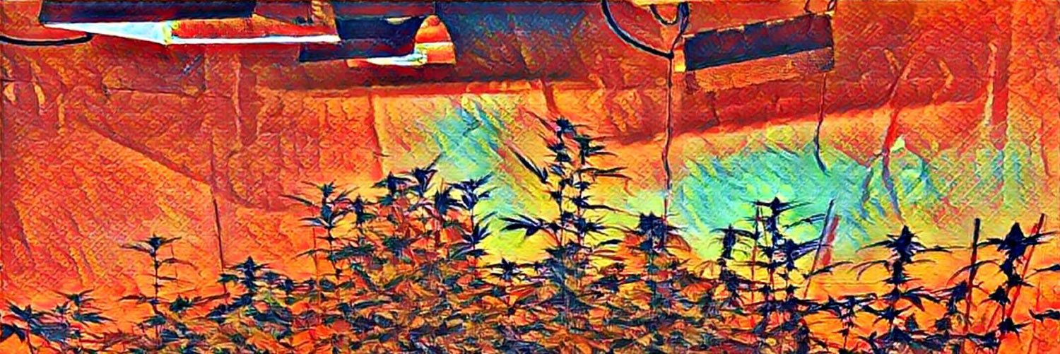 420Toledo's profile banner image