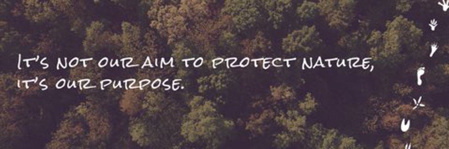 LydiaNeave_'s profile banner image