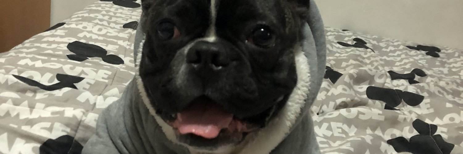 Negreiross_'s profile banner image