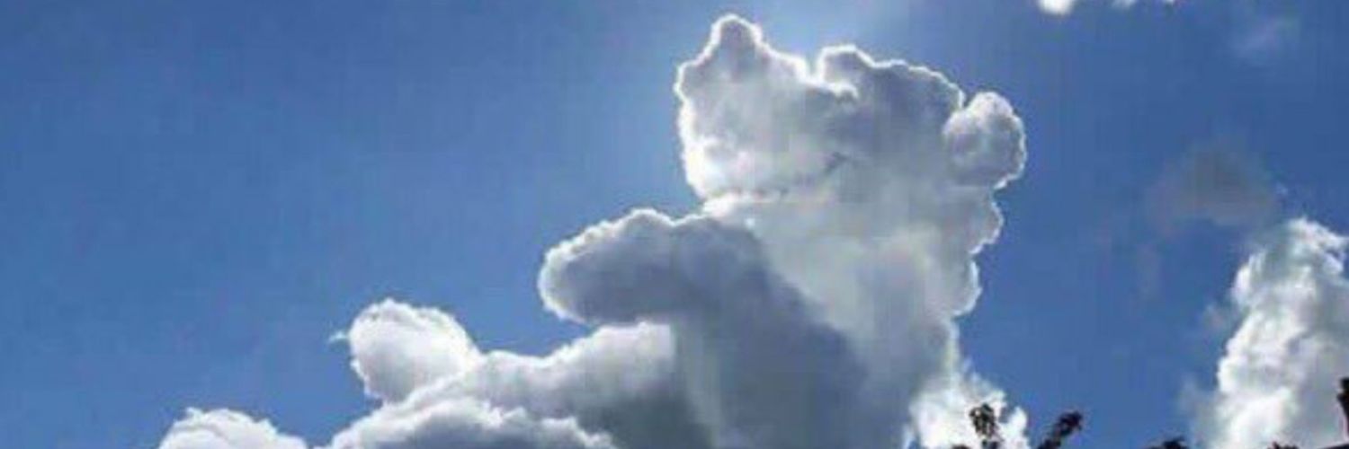 hiroototo's profile banner image