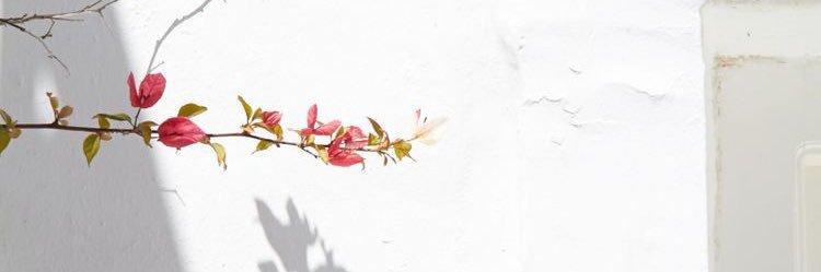 meej_1992's profile banner image