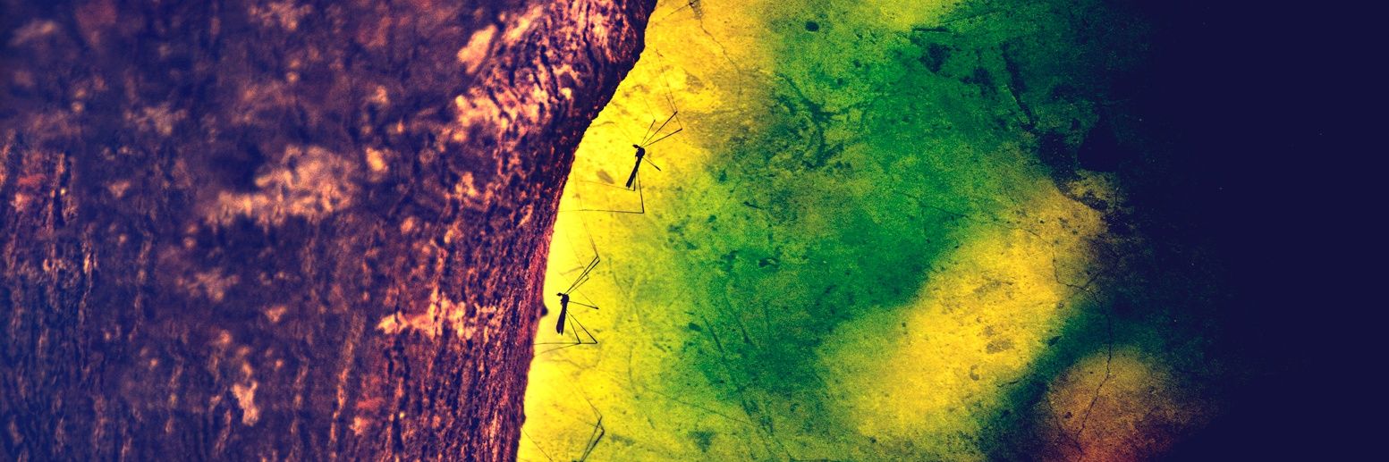 Ademarvine's profile banner image