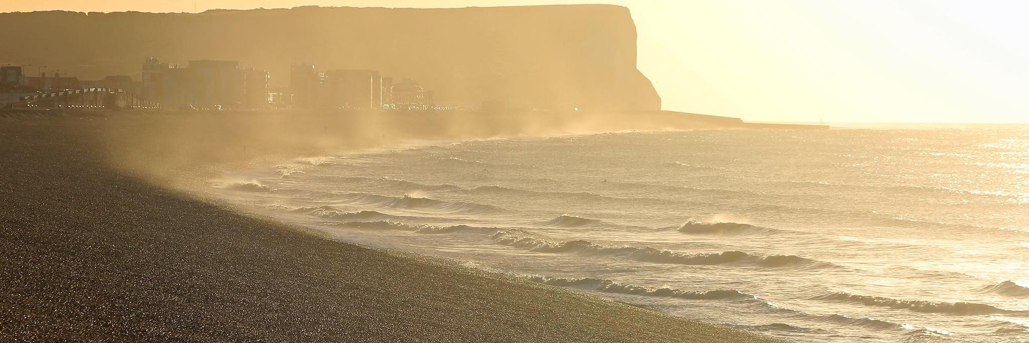 SaveOurWave's profile banner image