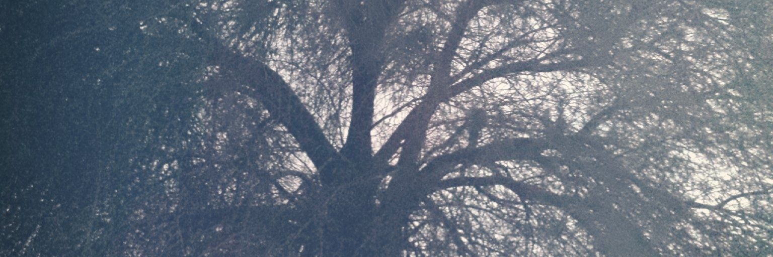 XAvengeX's profile banner image