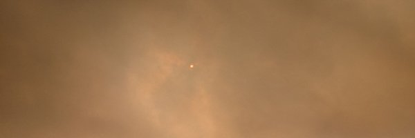 TylerWold Profile Banner