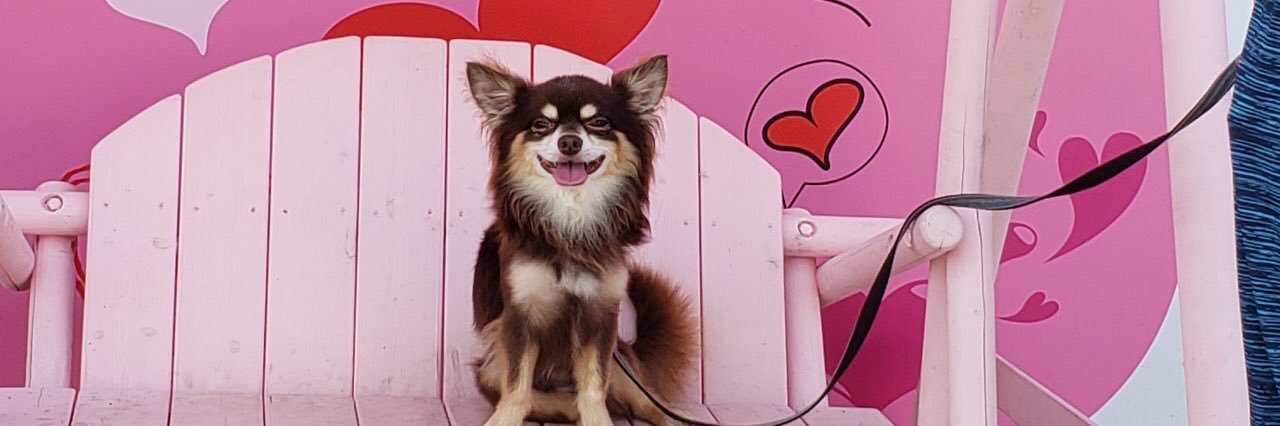 _Choco_00's profile banner image