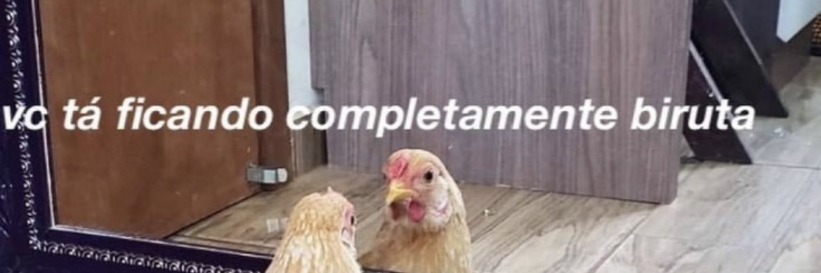 annaalicesn's profile banner image