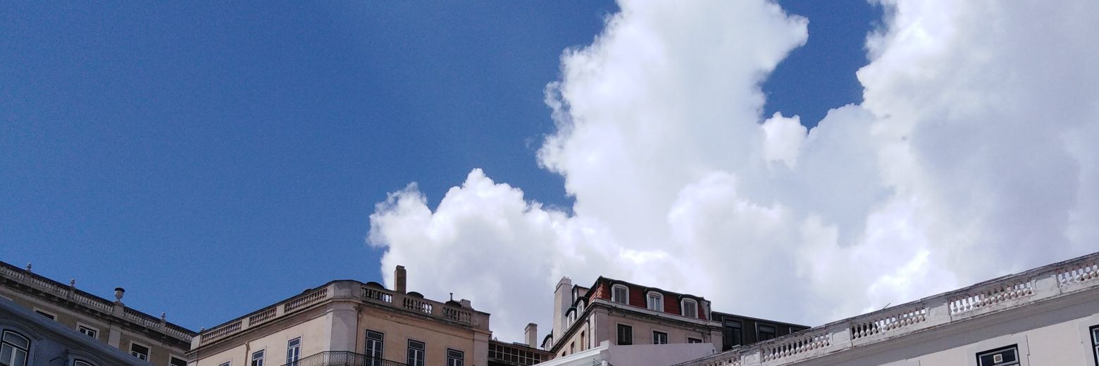 filipa banner
