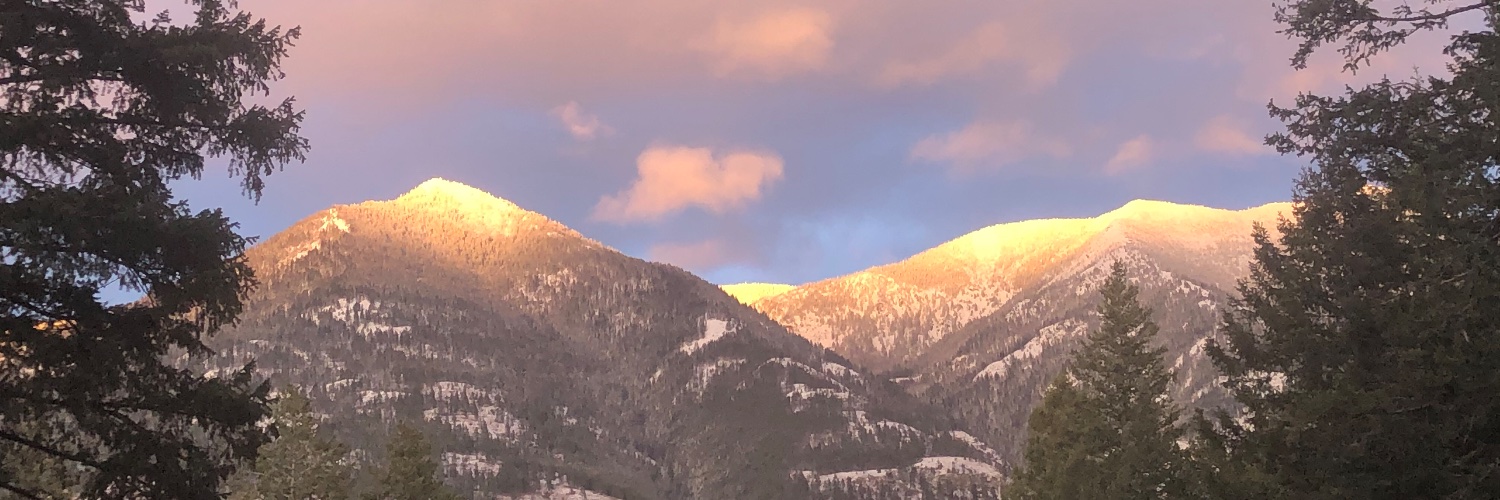 Katy_Jacobson's profile banner image