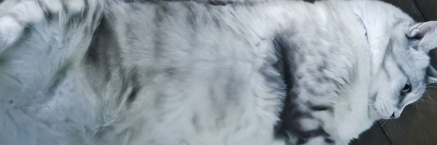 PonDPHV's profile banner image