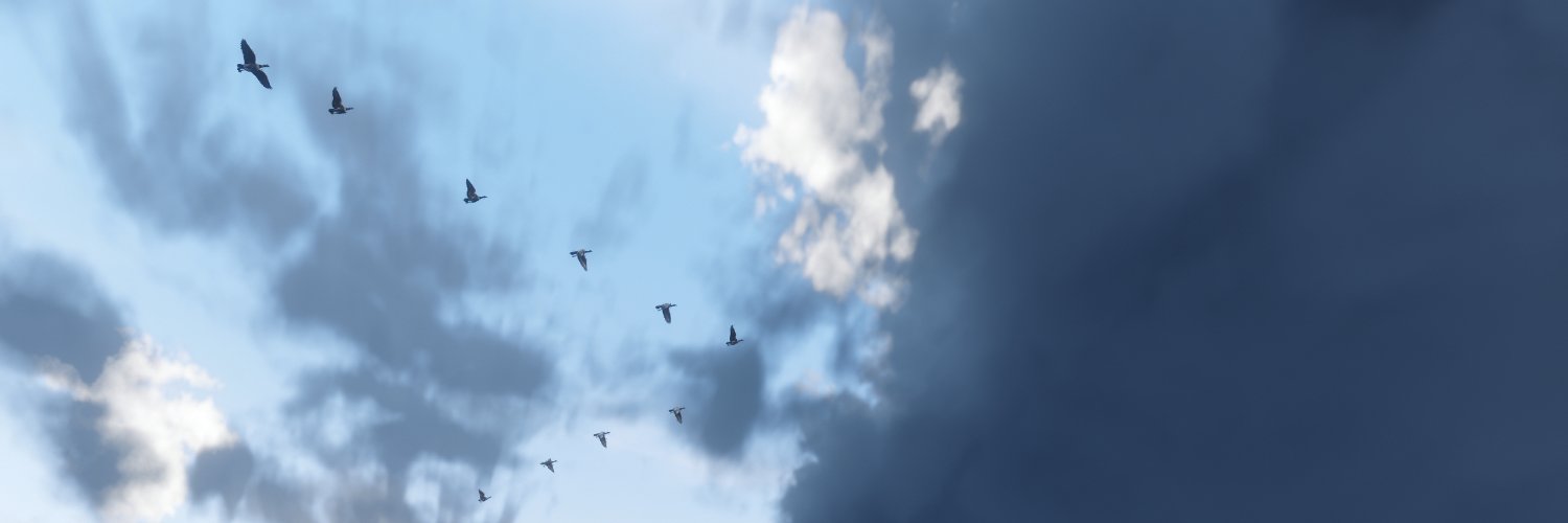 _Berrybird's profile banner image