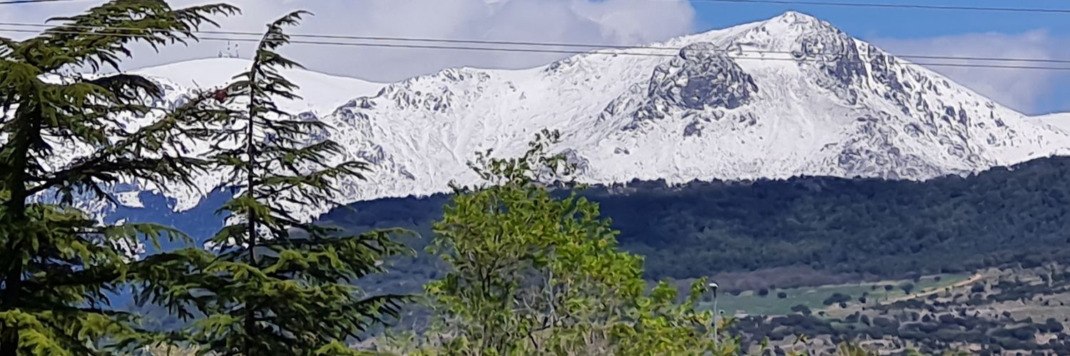 Alfredo Asta banner