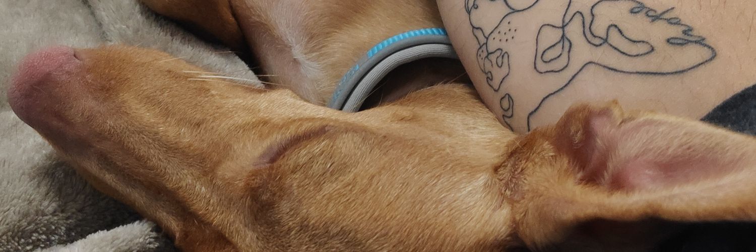 XellosOP's profile banner image