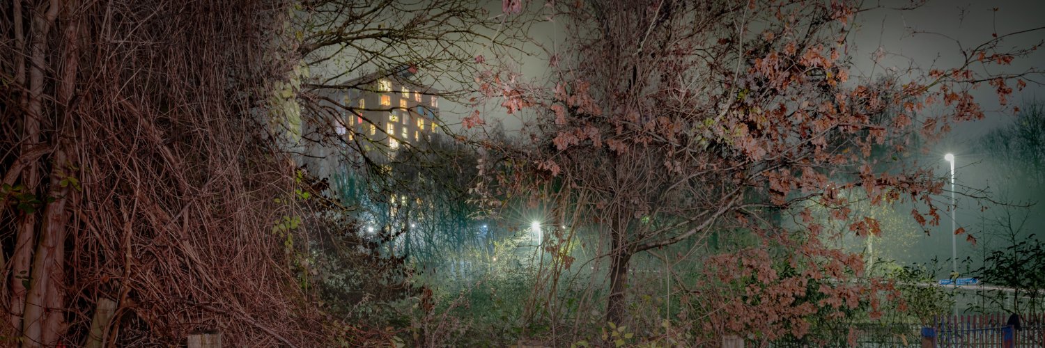 NOT QUITE LIGHT - NQL banner