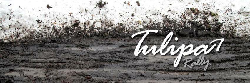 tuliparally's profile banner image