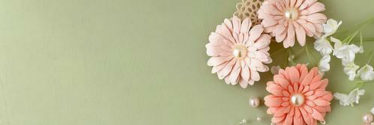 Gerbera12_24's profile banner image