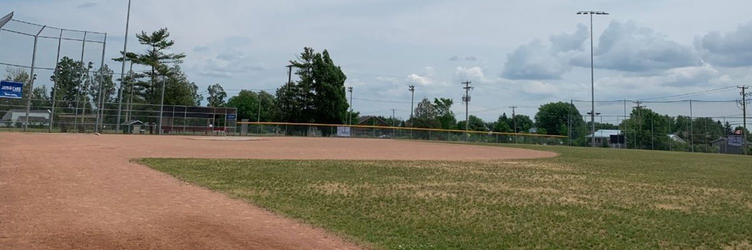 BaseballChelsea's profile banner image