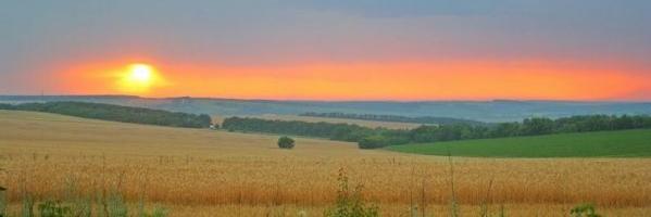 Wschodnik's profile banner image
