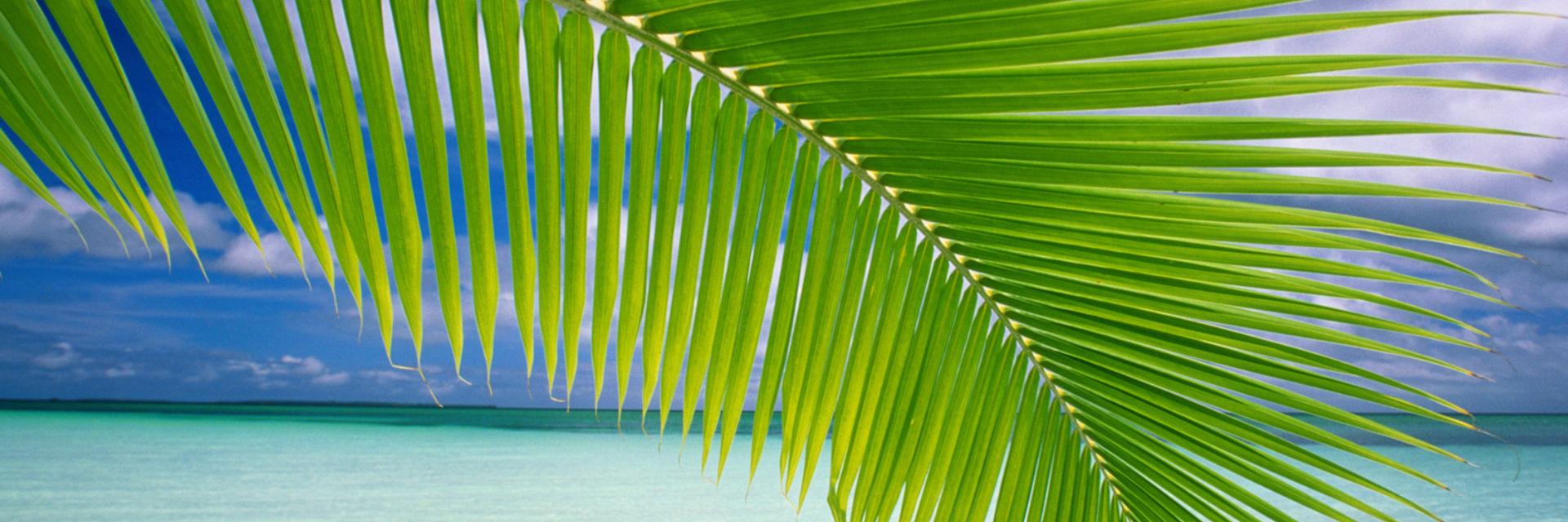 leon_1968_B's profile banner image