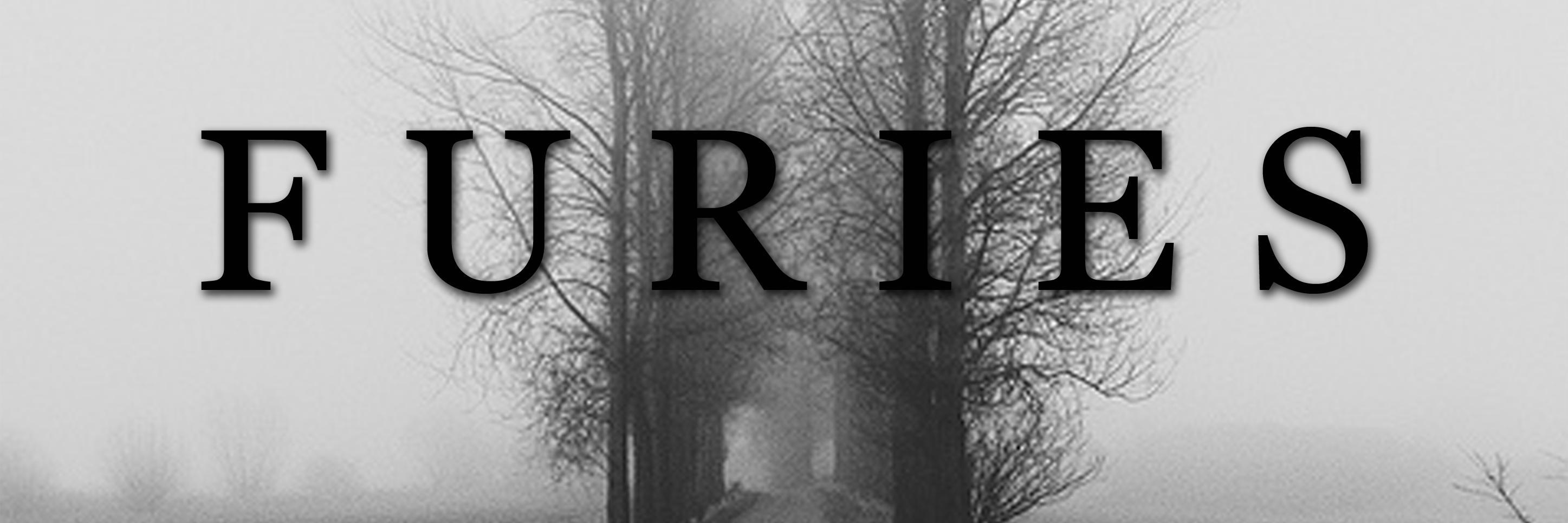 FURIES banner