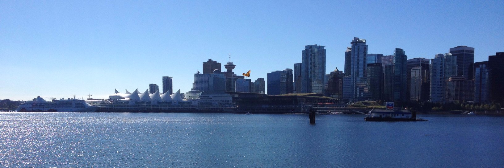 David Yang 楊兆博 banner