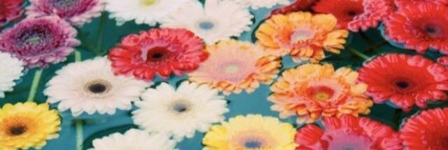 _sammitracy's profile banner image