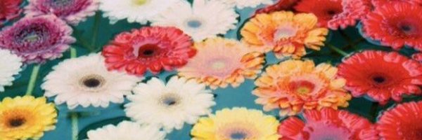 _sammitracy Profile Banner