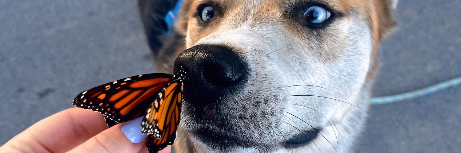 kyyndall's profile banner image